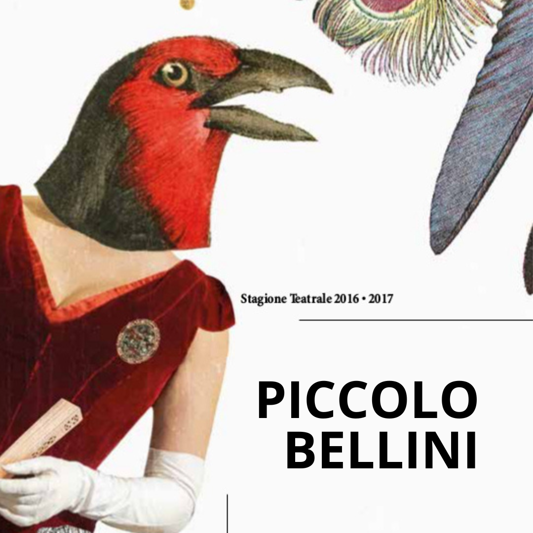 stagione-2016-2017-piccolo-bellini